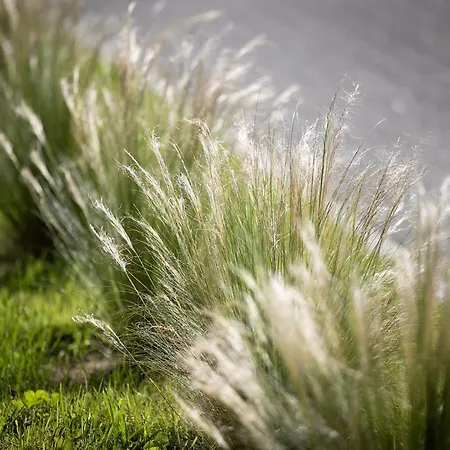 Pinea Apartahotel