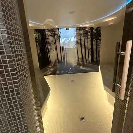 Pinea Apartahotel 4*